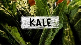 Kale  Superfoods Episode 5 [upl. by Cheslie25]