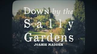 Joanie Madden  Down by the Sally Gardens Official Video [upl. by Niwle]