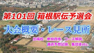 第101回箱根駅伝予選会、大会概要・レース見所について [upl. by Llehcnom]