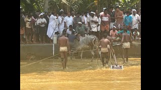 Ottakomban fans kalapoott live [upl. by Torin216]