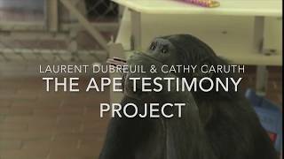 THE APE TESTIMONY PROJECT SUE SAVAGERUMBAUGH PART THREE [upl. by Assirralc]