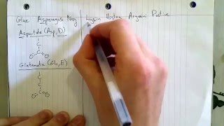 Memorize 20 Amino Acids 23  Charged SideChains [upl. by Surtemed]