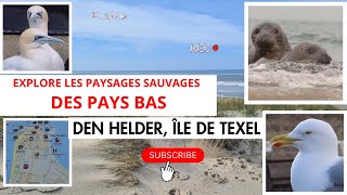 On se pose à Den Helder en haut des pays bas et on visite lîle de Texel inscrite a lUNESCO [upl. by Atinomar]