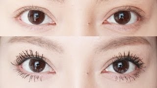 How To Make SMALL EYELASHES BIG [upl. by Larimore29]