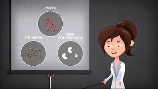 Basics of PCR [upl. by Ellehcem593]