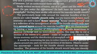 Photosynthesis in Higher Plants Class 11 Crash Course [upl. by Ainegul141]