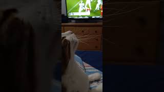 Snaggy Loves 🏈 time2 [upl. by Tankoos]