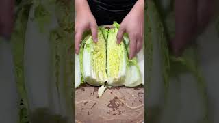 How to cut Cabbage amp Vegetables cutting Activity cuttingskils [upl. by Nevear]