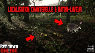 LOCALISATION CHANTERELLE amp RATONLAVEUR  RED DEAD ONLINE [upl. by Onitnas]