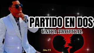 Partido En Dos  Única Tropical LetraLyric [upl. by Essirehs]