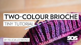 How to Knit TwoColour Brioche in the Round  School of SweetGeorgia  Tiny Tutorial [upl. by Brawner]