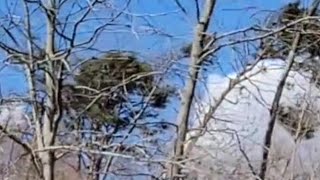 6070 mph wind gusts race through snapping trees like twigs [upl. by Htidra]