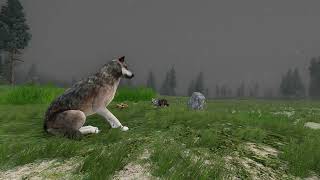 WolfQuest Anniversary Edition  Fanmade Trailer School Project [upl. by Nosecyrb927]