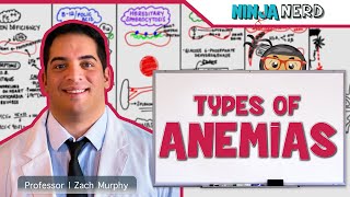 Hematology  Types of Anemias [upl. by Cirone]