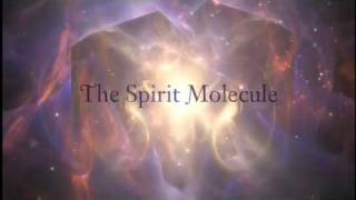 DMT  Trailer La molécula espiritual 16 [upl. by Aedrahs]