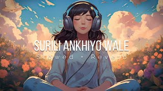 Surili Akhiyon Wale Slowed  Reverb  Rahat Fateh Ali Khan  Lofi  Lofi Munda [upl. by Durkee]