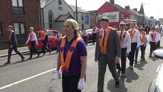 Mourne District LOL No6 Parade 28724 4K [upl. by Mesics809]