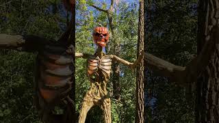 12 foot pumpkin inferno skeleton ￼ [upl. by Raychel]