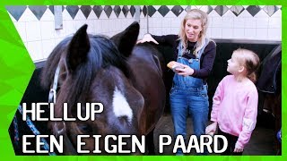 BRITT DEKKER DEELT AL HAAR PAARDENGEHEIMEN  HELLUP EEN EIGEN PAARD  ZAPPSPORT [upl. by Almund814]