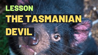 The Tasmanian Devil  Amazing Tasmanian Devil Facts amp Adventures for Kids Learn amp Discover with Fun [upl. by Hadnama344]