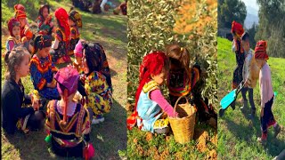 traditions kabylepar les enfants de la crèche saras magical World🔥🔥🔥❤️❤️❤️ [upl. by Towrey]