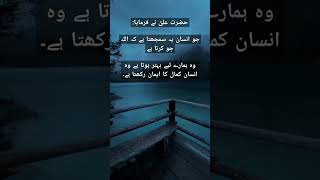 imamali hazratali islamicquotes viralshorts quotes hazrataliquotes ytshorts quotesinurdu [upl. by Ellierim]