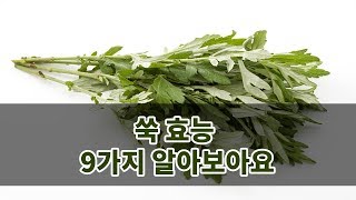 쑥 효능 9가지 알아보아요 [upl. by Fortunio]