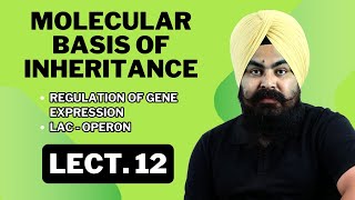 Molecular Basis of Inheritance  LECTURE 12  Complete NCERTBased Lecture  BIOLOGY ncert [upl. by Frohne104]