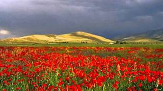 Armenian folk song  Bingyol [upl. by Ydda]