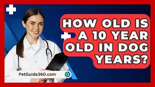 How Old Is A 10 Year Old In Dog Years  PetGuide360com [upl. by Enidlareg]