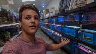 The COOLEST FISH STORE TOUR [upl. by Blinni]