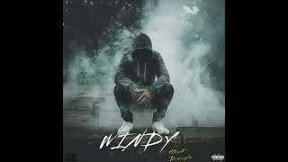 Street Disciple  Windy Official Audio Lyrics in description [upl. by Tisbee]