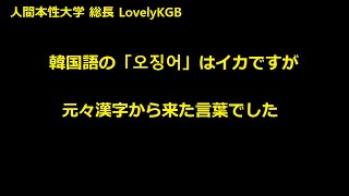 中級韓国語 韓国語の「오징어」はイカですが、元々漢字から来た言葉でした。 人間本性大学語学部 [upl. by Samy219]