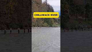 🇨🇦Chilliwack River [upl. by Anura273]