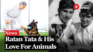 How Much Did Ratan Tata Love Animals This Much [upl. by Michelle]