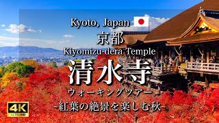 Autumn Leaves at Kiyomizudera Temple in Kyoto Japan  Vibrant Fall Colors Landscape 4K [upl. by Gilboa]