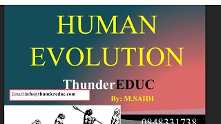 HUMAN EVOLUTION GRADE 12 LIFE SCIENCES THUNDEREDUC BY BSAIDI [upl. by Nimoynib]