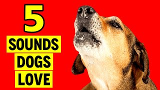 5 Sounds Dogs Love To Hear All Time See How Your Dog Reacts [upl. by As]