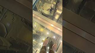 Glass floor on a cruise ship 😳 [upl. by Brynna]