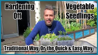 Hardening Off Your Seedlings  Traditional Way and an Easier quotLazyquot Way [upl. by Wilen]