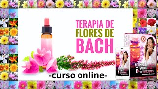 🔎 Cómo Aprender FLORES de BACH Paso a Paso [upl. by Kaylyn]