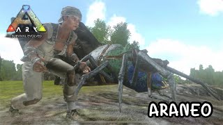 ARK Mobile Easy EP17  จับ ARANEO [upl. by Seed307]