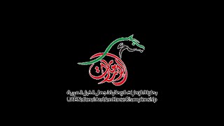 EAHS NATIONAL ARABIAN HORSE CHAMPIONSHIP  البطولة الوطنية لجمعية الإمارات للخيول العربية [upl. by Anitsirt]