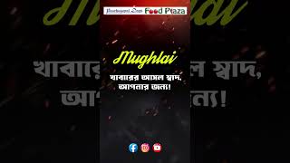 Best Authentic Mughlai Food at Panchu Gopal Deys Food Plaza  Delicious Flavors in Every Bite [upl. by Ikin]