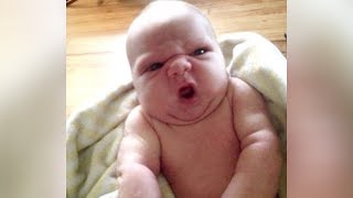 PRICELESS FACES of BABIES GETTING SURPRISED  The FUNNIEST BABY REACTION videos [upl. by Boleyn404]