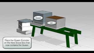 Swarm Control using the Demaree Method [upl. by Akehsyt952]