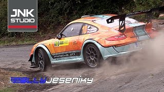 Best of X Rally Jeseníky 2018 [upl. by Strander]