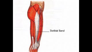 Two Minutes of Anatomy Iliotibial Band IT Band ITB [upl. by Amandy775]