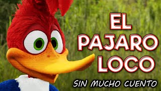 EL PÁJARO LOCO LA SAGA COMPLETA  RESUMEN EN 20 MINUTOS [upl. by Werda]