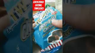 Crocodile eating twiggies ASMR satisfying youtubeshorts viralvideo trending shortvideo short [upl. by Arica]